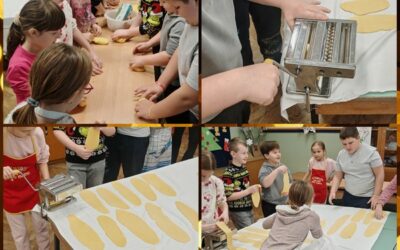 Domaćinstvo u 3. b razredu