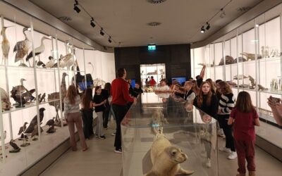 Terenska nastava petih razreda