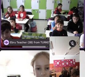 Online sastanak u projektu Growing Smart