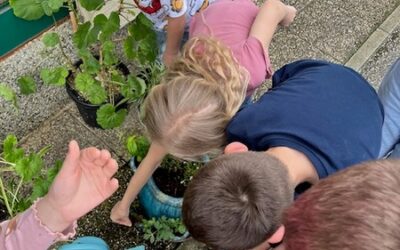 Zemlja je naš zajednički dom 2 – Dan planeta Zemlje